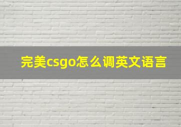 完美csgo怎么调英文语言