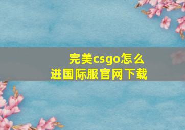 完美csgo怎么进国际服官网下载