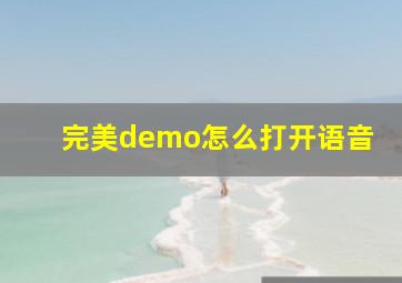 完美demo怎么打开语音