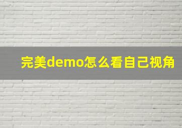 完美demo怎么看自己视角