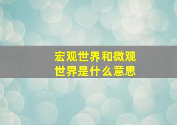 宏观世界和微观世界是什么意思