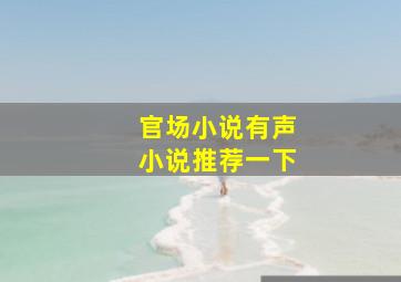 官场小说有声小说推荐一下