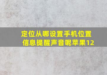 定位从哪设置手机位置信息提醒声音呢苹果12