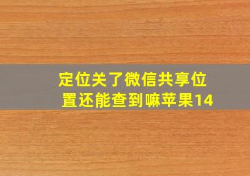 定位关了微信共享位置还能查到嘛苹果14