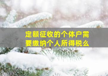 定额征收的个体户需要缴纳个人所得税么