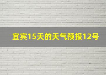 宜宾15天的天气预报12号