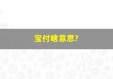 宝付啥意思?