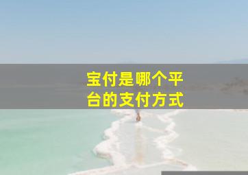 宝付是哪个平台的支付方式