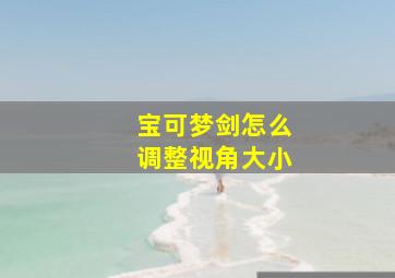 宝可梦剑怎么调整视角大小