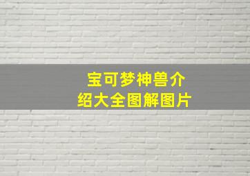 宝可梦神兽介绍大全图解图片