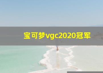 宝可梦vgc2020冠军