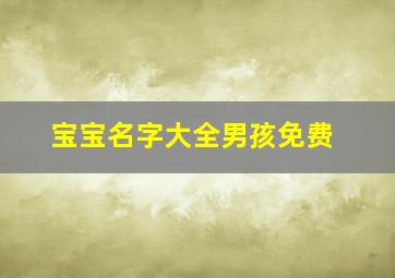 宝宝名字大全男孩免费