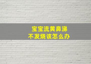 宝宝流黄鼻涕不发烧该怎么办