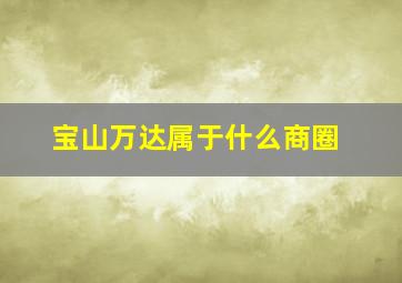 宝山万达属于什么商圈