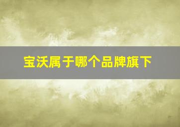 宝沃属于哪个品牌旗下