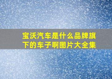 宝沃汽车是什么品牌旗下的车子啊图片大全集