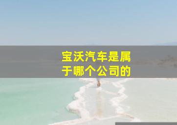 宝沃汽车是属于哪个公司的