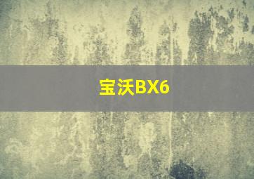 宝沃BX6