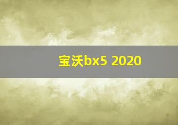 宝沃bx5 2020