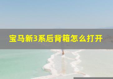 宝马新3系后背箱怎么打开