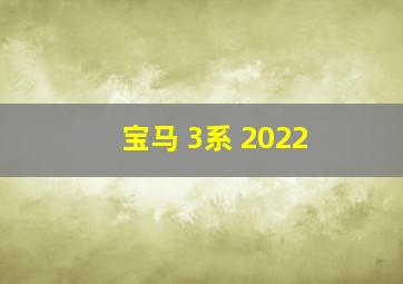 宝马 3系 2022