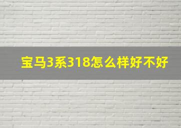 宝马3系318怎么样好不好