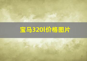 宝马320l价格图片