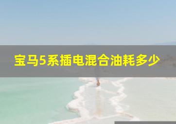 宝马5系插电混合油耗多少