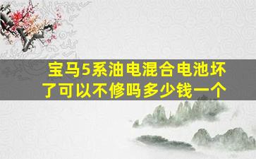 宝马5系油电混合电池坏了可以不修吗多少钱一个