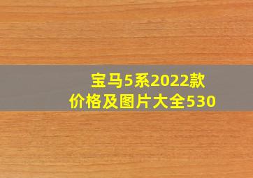 宝马5系2022款价格及图片大全530