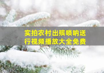 实拍农村出殡唢呐送行视频播放大全免费