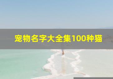 宠物名字大全集100种猫