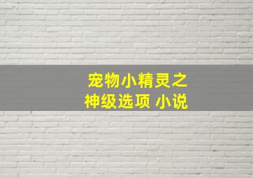 宠物小精灵之神级选项 小说