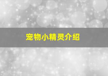 宠物小精灵介绍