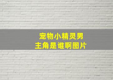 宠物小精灵男主角是谁啊图片