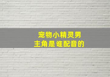 宠物小精灵男主角是谁配音的