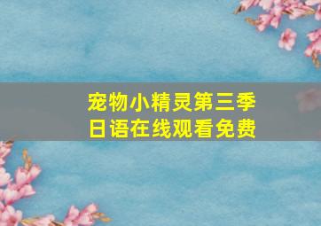 宠物小精灵第三季日语在线观看免费