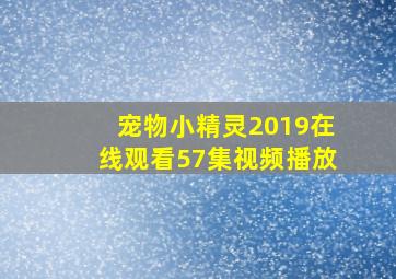 宠物小精灵2019在线观看57集视频播放