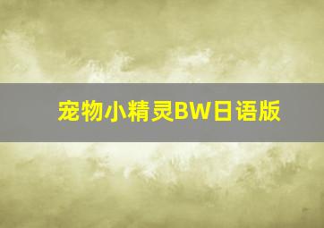 宠物小精灵BW日语版