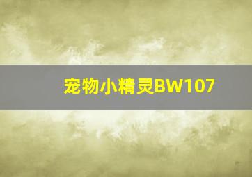 宠物小精灵BW107