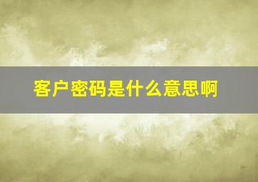 客户密码是什么意思啊