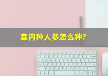 室内种人参怎么种?