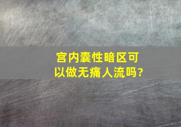 宫内囊性暗区可以做无痛人流吗?