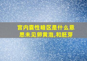 宫内囊性暗区是什么意思未见卵黄泡,和胚芽