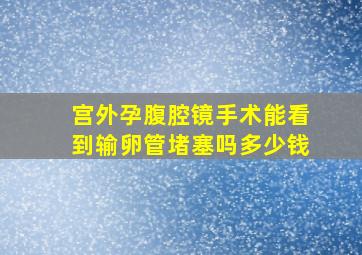 宫外孕腹腔镜手术能看到输卵管堵塞吗多少钱