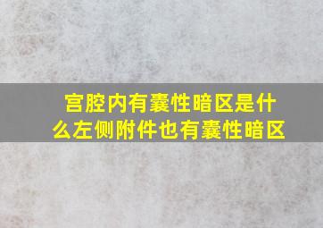 宫腔内有囊性暗区是什么左侧附件也有囊性暗区