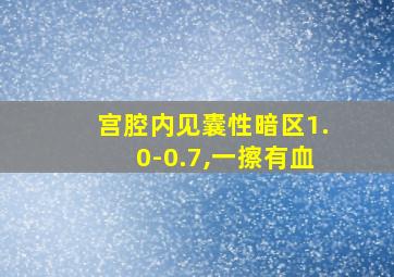 宫腔内见囊性暗区1.0-0.7,一擦有血