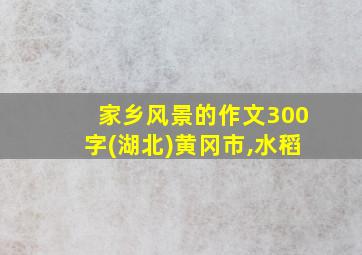 家乡风景的作文300字(湖北)黄冈市,水稻