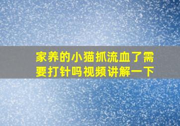 家养的小猫抓流血了需要打针吗视频讲解一下