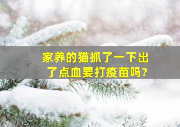 家养的猫抓了一下出了点血要打疫苗吗?